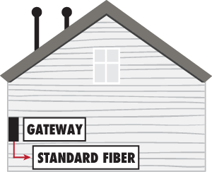 6 feet Fiber Extension